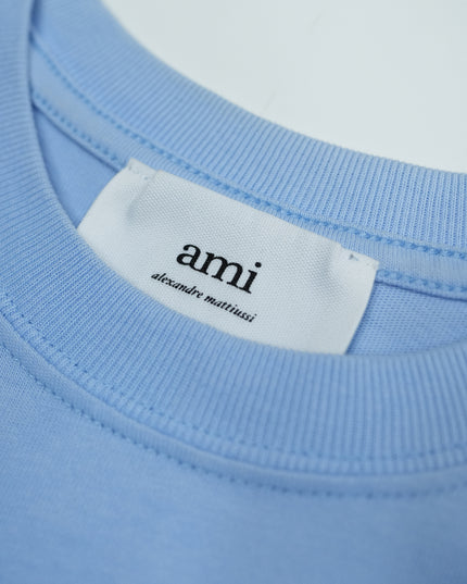 PARIS AMI DE COEUR TONAL BOXY FIT TSHIRT LIGHT BLUE