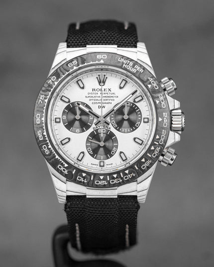 Harga Rolex DIW Daytona Panda Indonesia