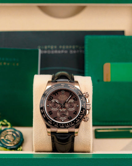 Daytona Choco Arabic