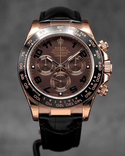 Daytona Choco Arabic