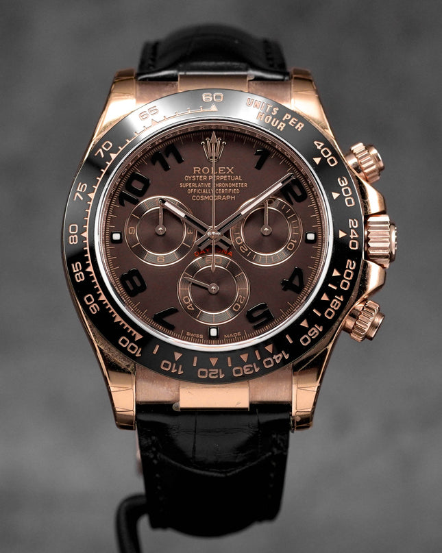 Daytona Choco Arabic