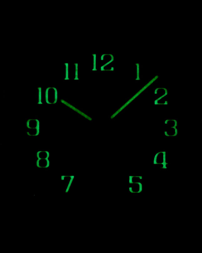 Harga Patek Twenty~4 Olive Green