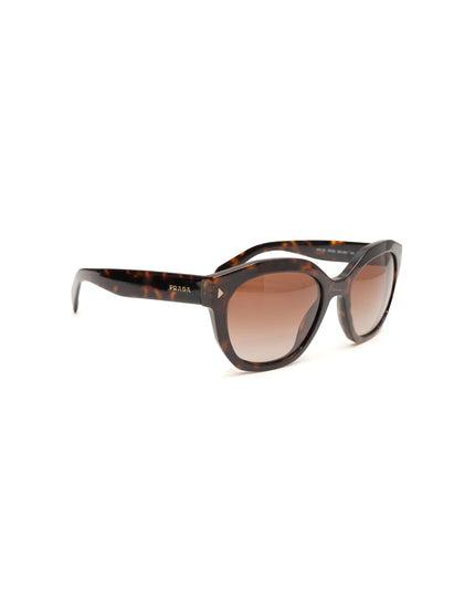 FRAME TARTARUG SUNGLASSES