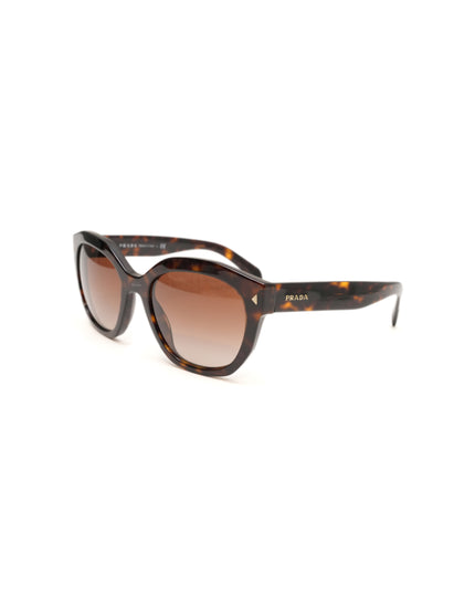FRAME TARTARUG SUNGLASSES