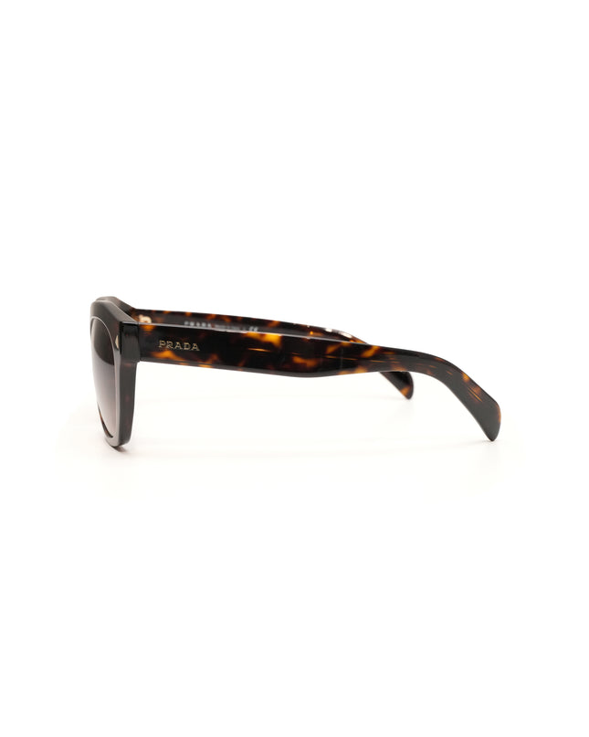 FRAME TARTARUG SUNGLASSES