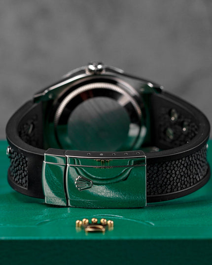 Harga Rolex Datejust 36 Zebra Diamond Indonesia