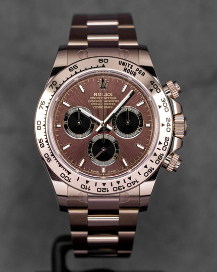Harga Rolex Daytona Choco Indonesia Terbaru