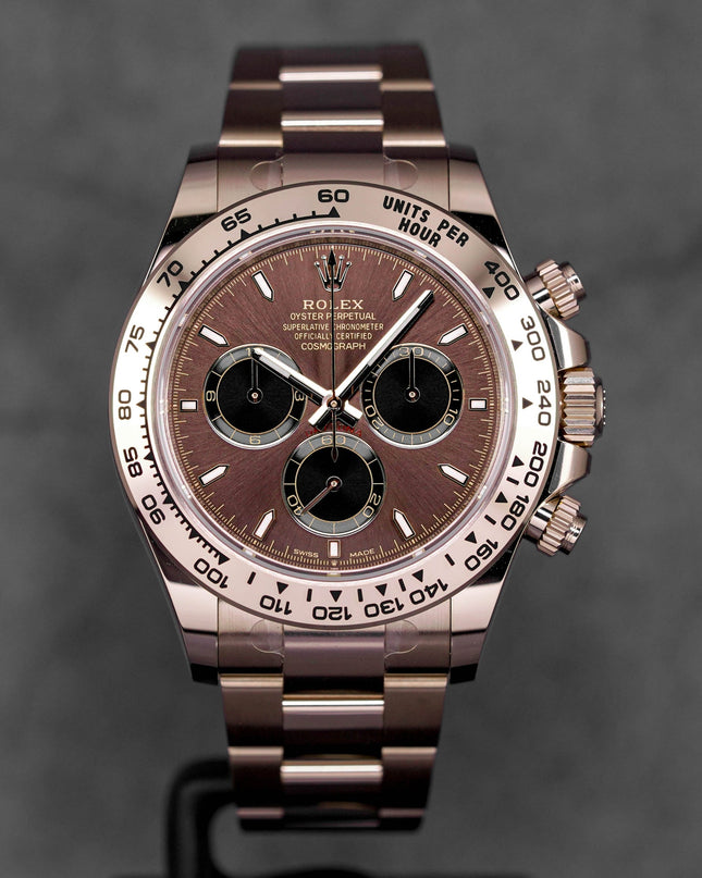 Harga Rolex Daytona Choco Indonesia Terbaru