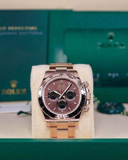 Harga Rolex Daytona Choco Indonesia Terbaru