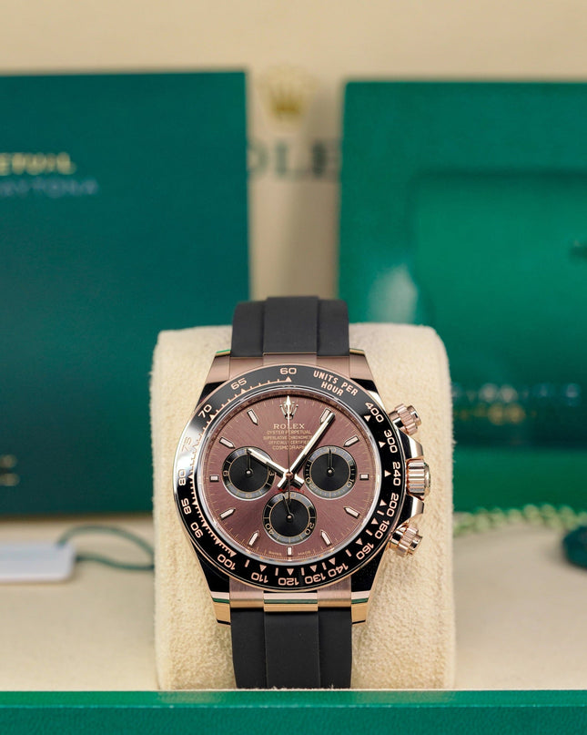 Harga Rolex Daytona Choco Indonesia