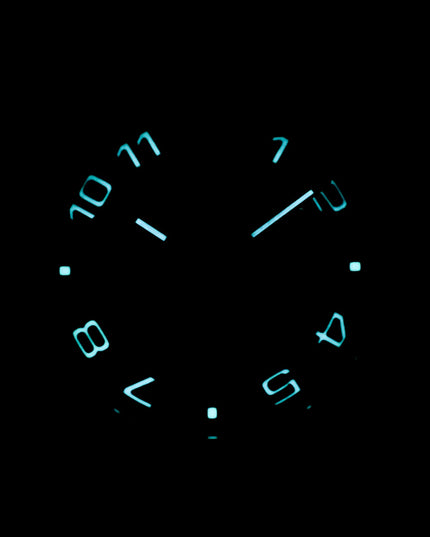 Harga Rolex Daytona Racing Panda Indonesia